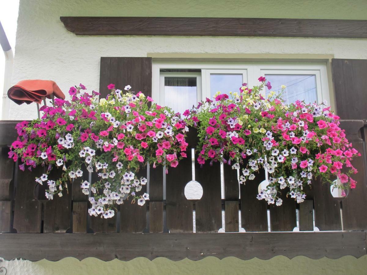 Gaestehaus Marlies Apartment Hirschegg (Vorarlberg)