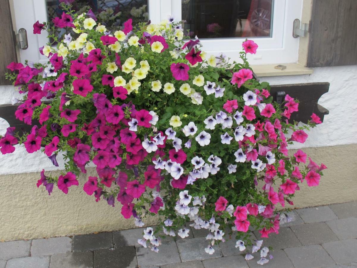 Gaestehaus Marlies Apartament Hirschegg (Vorarlberg)